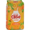 CBSé - Naranja / Orange - Mate Tee aus Argentinien 500g