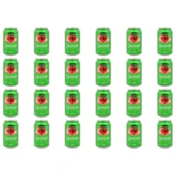 Guaraná Antarctica 24 x 0,33l